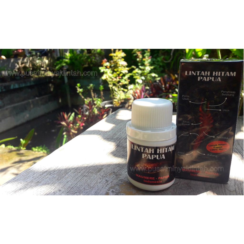 Minyak lintah hitam Papua asli minyak lintah asli Papua 100% original pembesarpenis pembesar penis 1