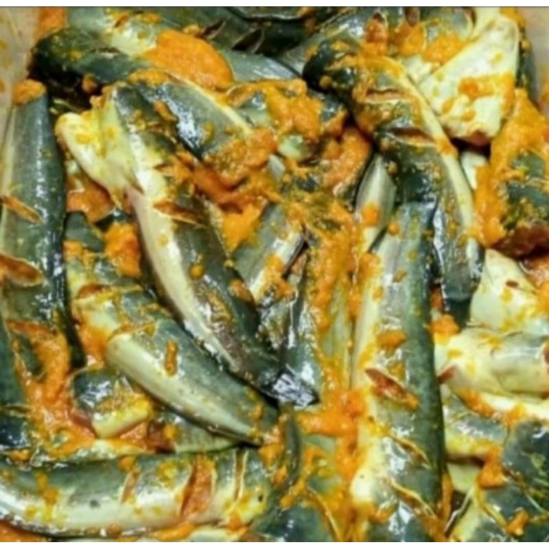 

Lele bumbu ungkep 1 kg siap di masak