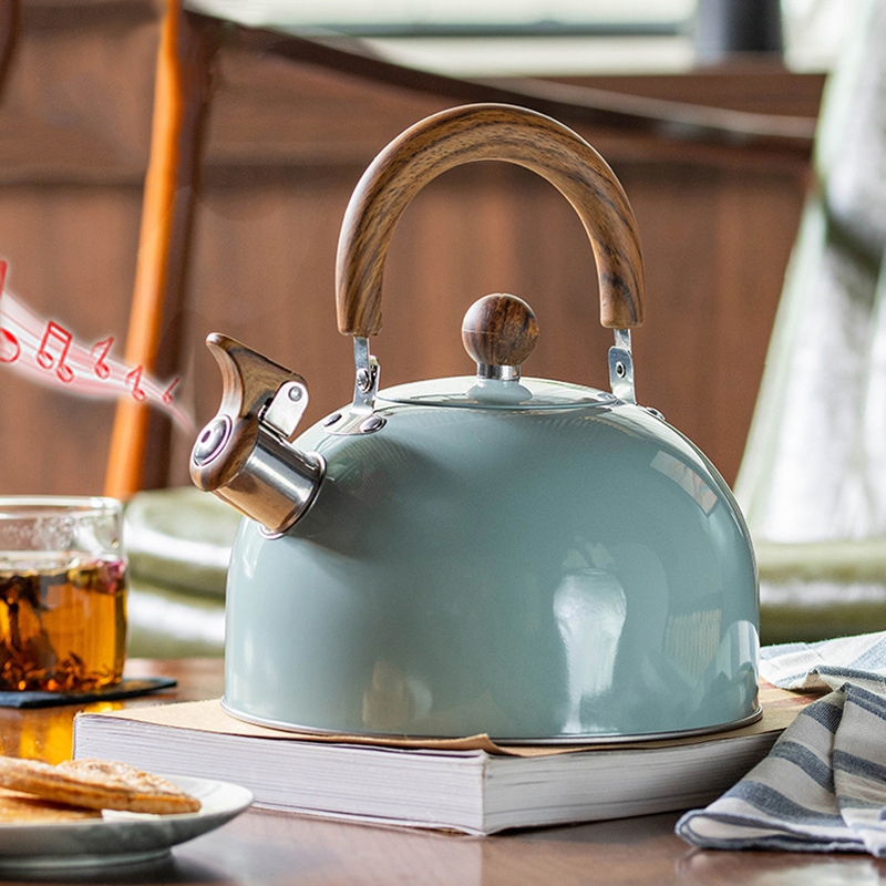 S&S 3L teko ketel bersiul besi tahan karat penyeduh teh air panas dua pilihan warna tungku Gas & kom