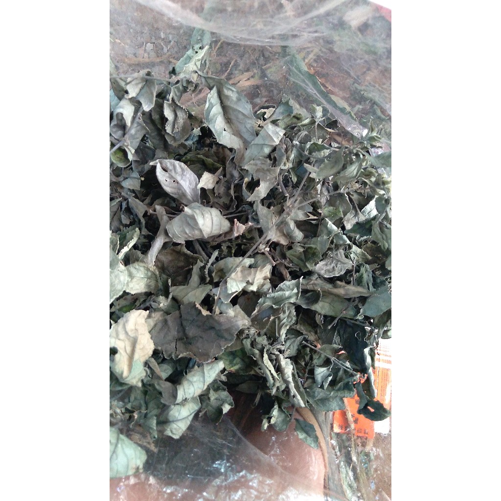 

daun pecah beling kering 100 gram