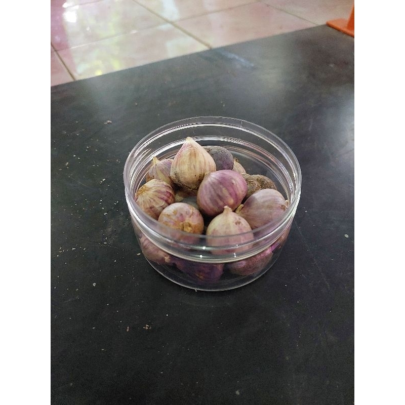 

bawang lanang/tunggal 100gr