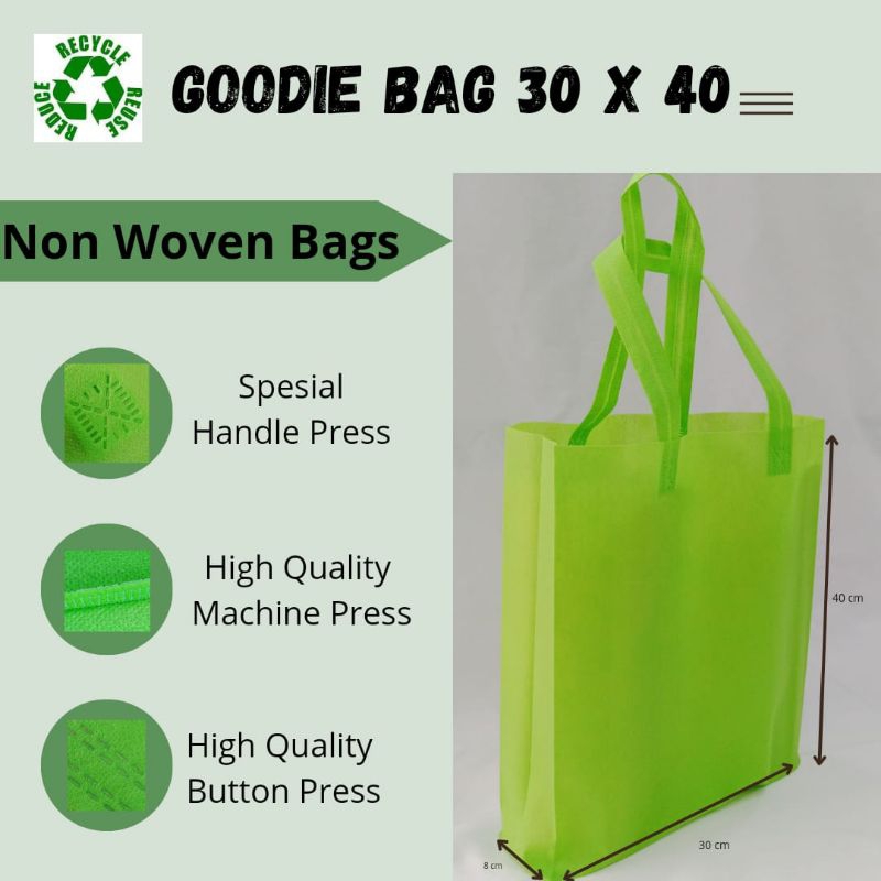 

Tas Spunbond/GOODIE BAG 30X40X8 CM (12 pcs)