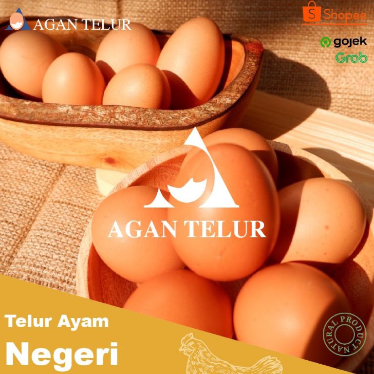 

KODE JDF697 TELUR AYAM NEGERI FRESH DAN TERMURAH PER KG 1516 btr