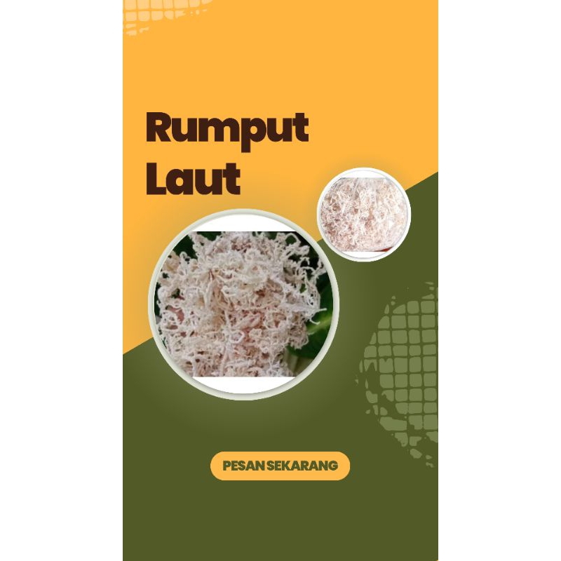 

RUMPUT LAUT KERING 100gr