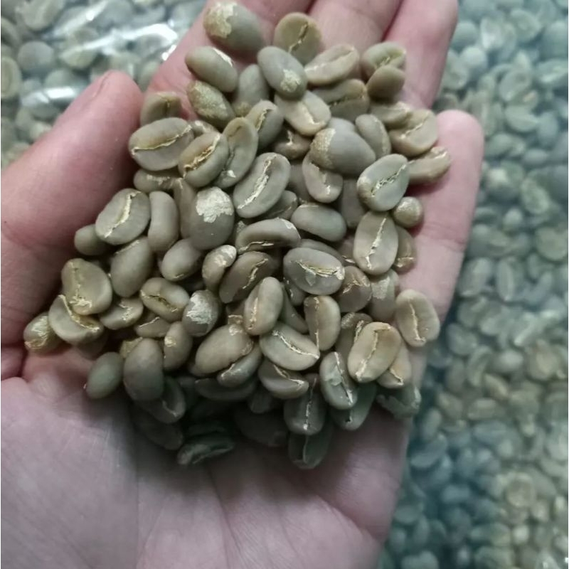 

green bean arabica fullwash pegunungan dieng 1 kg