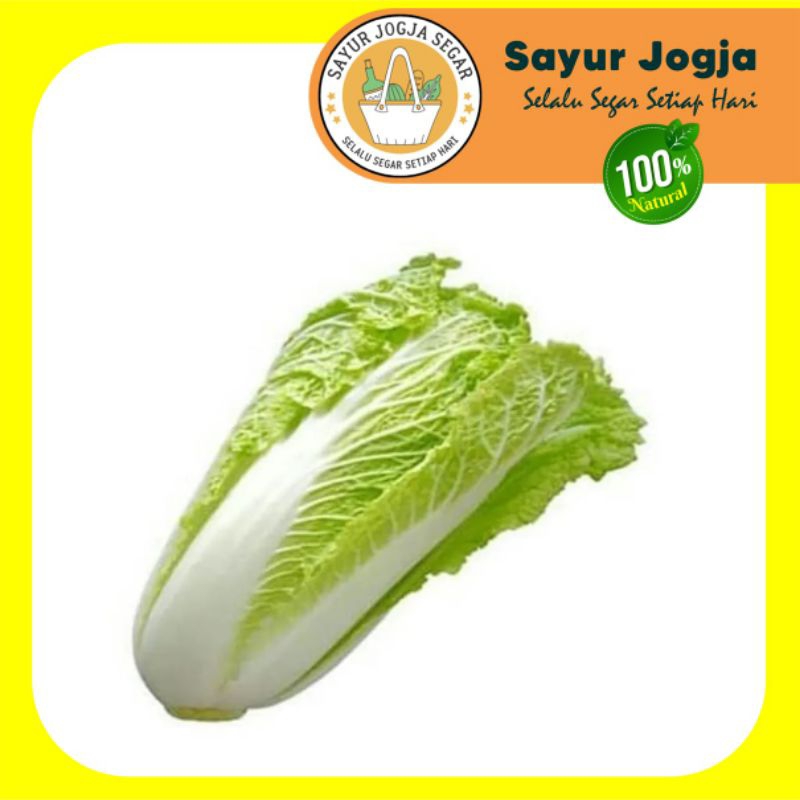 

SAWI PUTIH SEGAR per 500 gram - Sayur Jogja