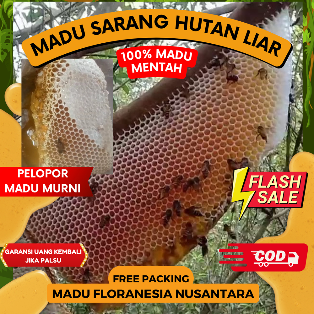 

SARANG MADU ASLI MURNI 500 GRAM KUALITAS PREMIUM SARANG MADU LEBAH LIAR HUTAN APIS DORSATA