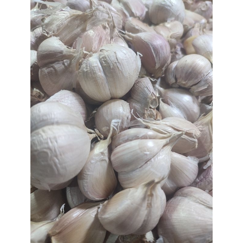 

bawang putih kating 1/2kg