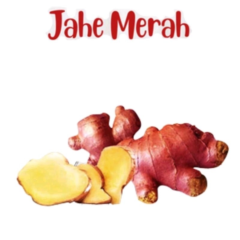 

Jahe Merah Original basah / segar 1kg