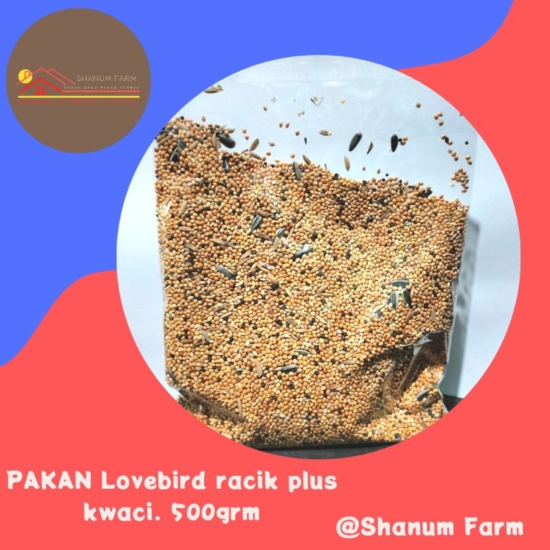 pakan Lovebird plus kwaci pakan Lovebird