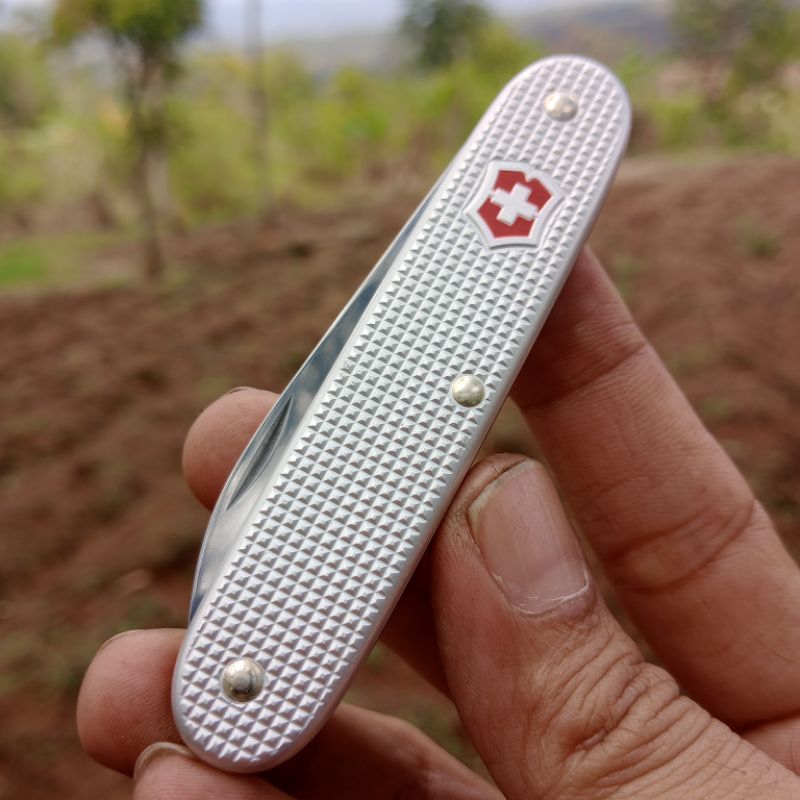 VICTORINOX SOLO ALOX Single blade bilah tunggal SWISS ARMY Pemula SAK