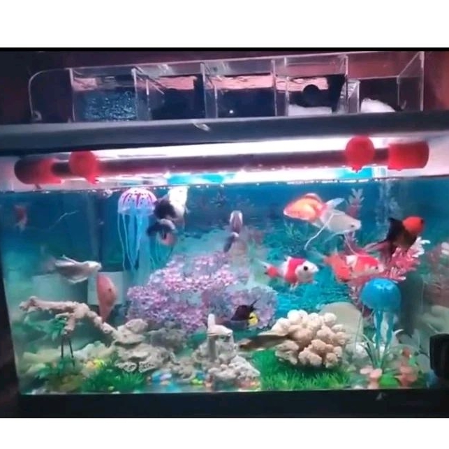 ROSSTON / YMN / KANDILA PRO RED VIEW ECO 600 Lampu Celup Tanning Aquarium