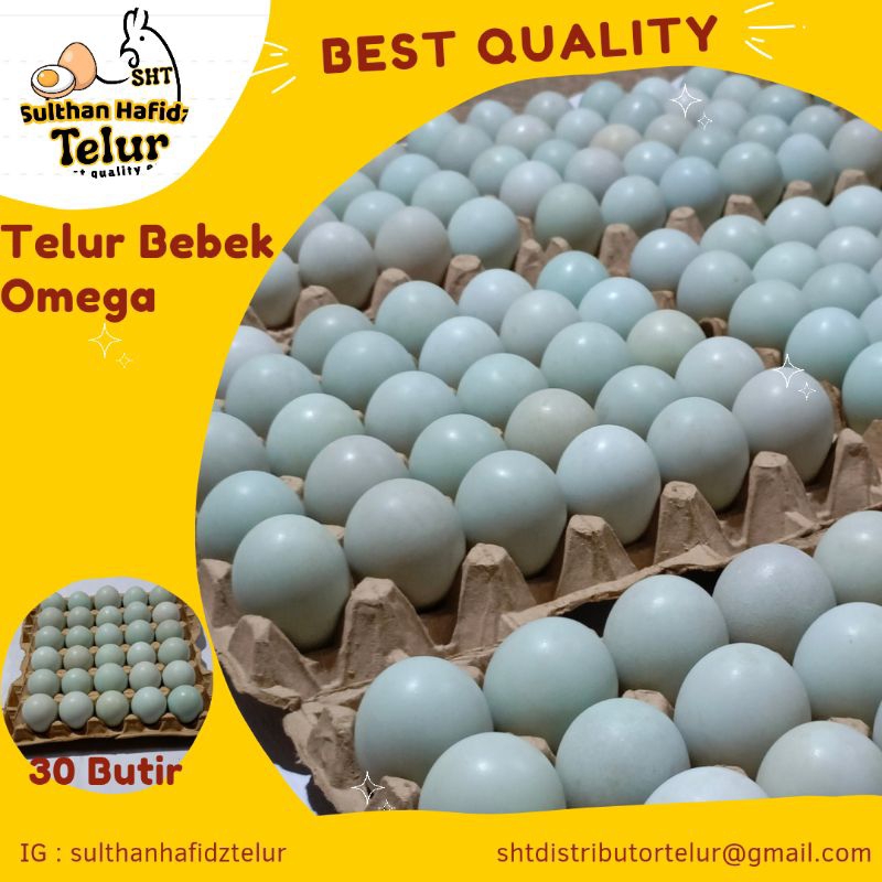 

TELUR BEBEK OMEGA ISI 30 BUTIRTelur Ayam NegeriTelur Ayam Negeri Omega Telur Ayam Negeri Krem Telur Puyuh Telur Ayam Kampung Omega Telur Bebek Oren Telur Asin Mentah Telur Asin Mateng