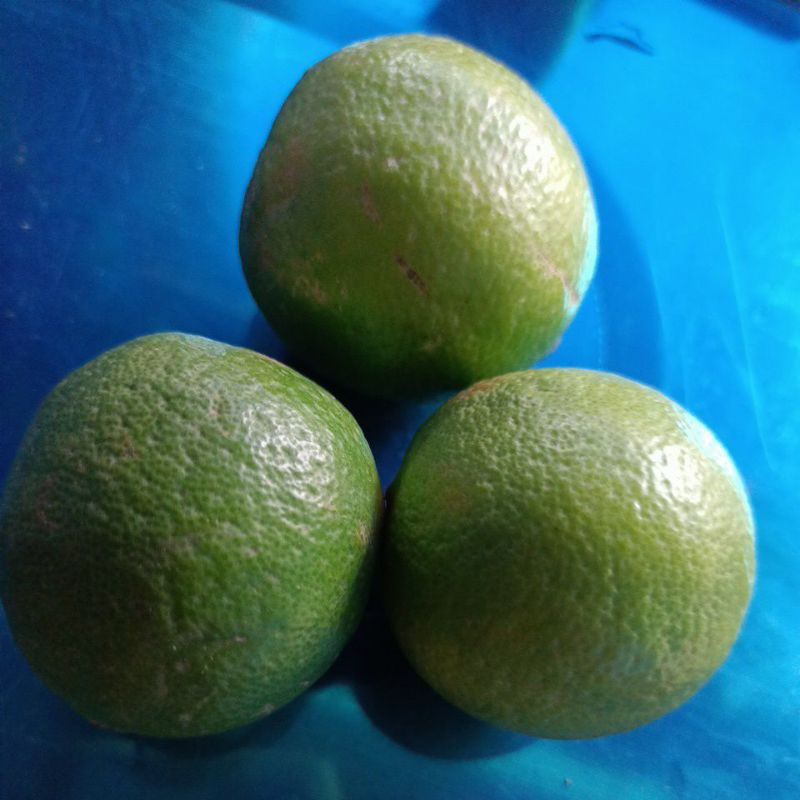 

Jeruk Nipis 250gr