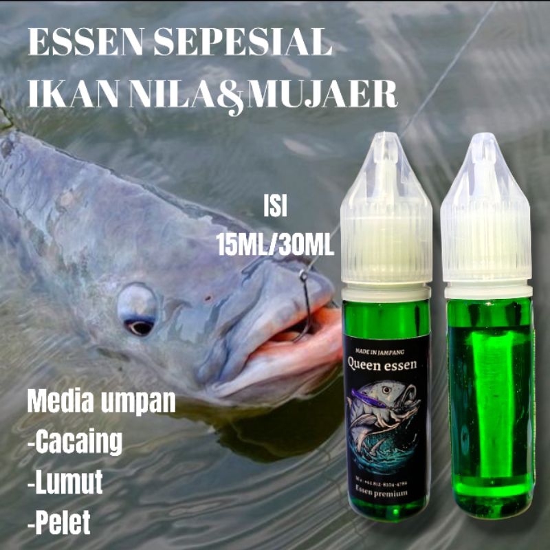 ⭐QUEEN ESSEN⭐essen ikan nila aroma op pandan wangi sari lumut