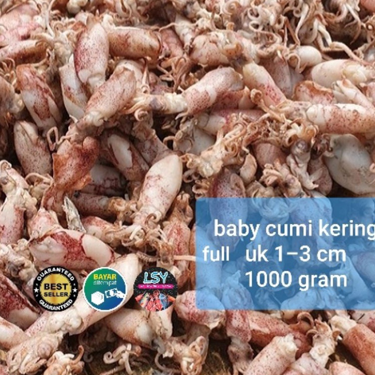 

Produk Keren ikan asin baby cumi cumi rebus kering full 1 kg Murah