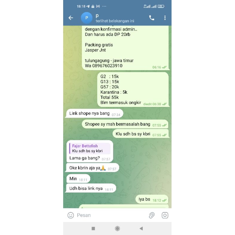 3 cupang kualitas bagus