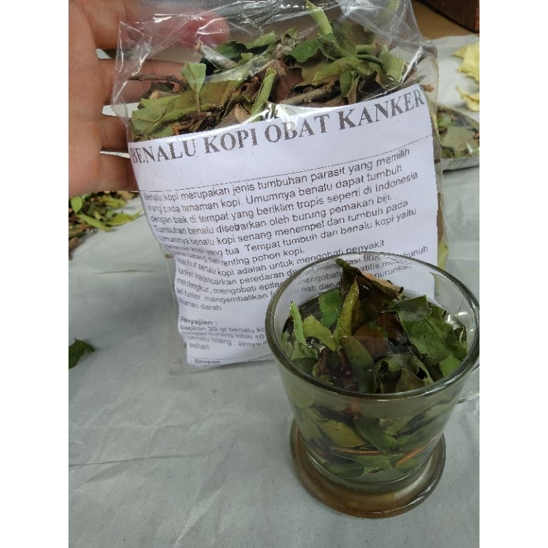 BENALU KOPI MURNI DAN ORGANIK 500 GRAM / BENALU KOPI KERING / BENALU KOPI OBAT KANKER