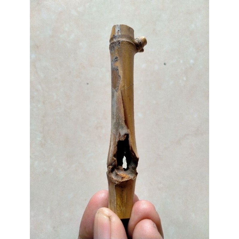 BAMBU UNIK COMBONG TEMBUS (3 LUBANG) ORI ISTIMEWA