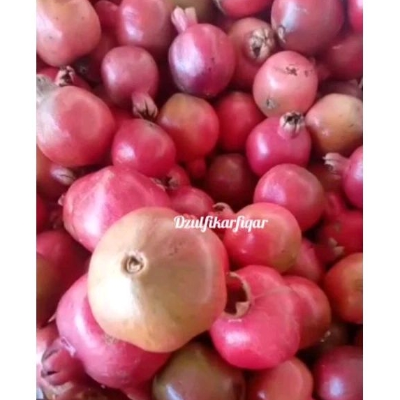 

Buah delima merah segar 1kg UK besar