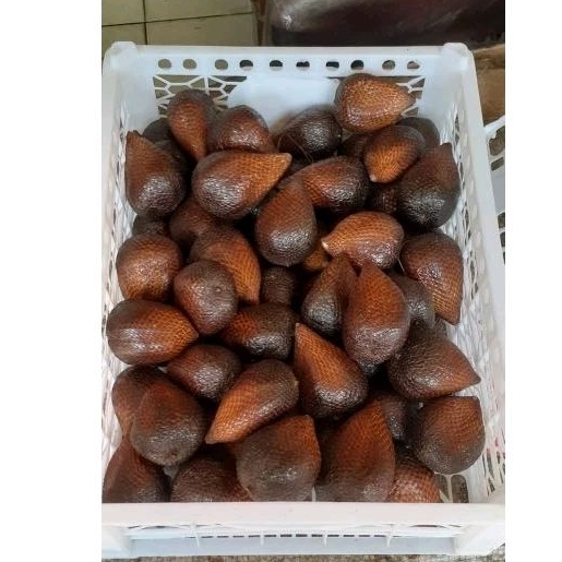 

Indukbuah Buah Salak Pondoh Manis 1 Keranjang 7kg