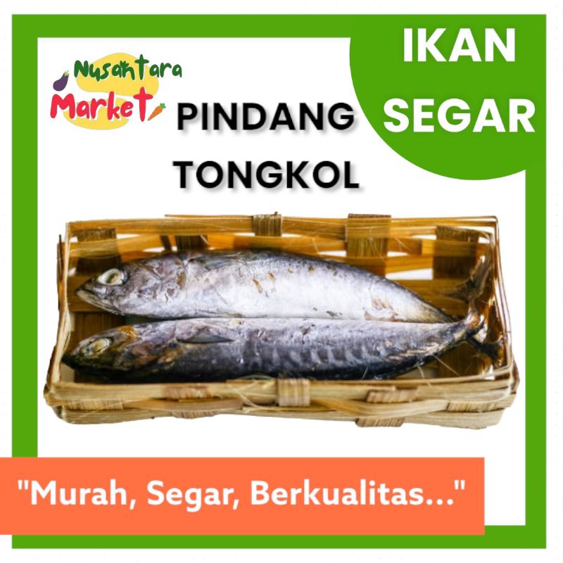 

PINDANG TONGKOL / SALEM / MARNING | 2-4 EKOR | NUSANTARA MARKET