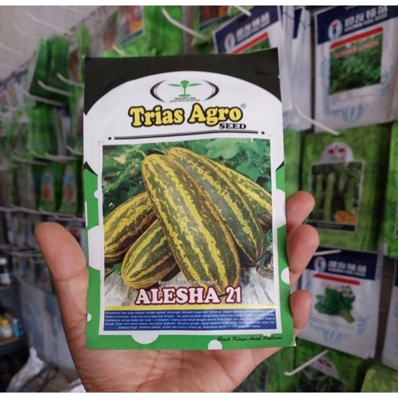 Benih Biji Bibit Timun Suri ALESHA 21 isi 10 gram