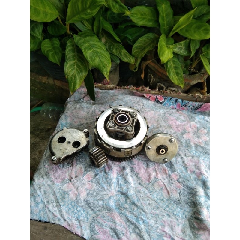 ronsel Tiger ori copotan