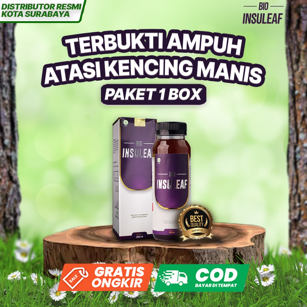 Bio Insuleaf 1 Box 100% Original | Obat Herbal Terbukti Ampuh Atasi Kencing Manis Daun Insulin