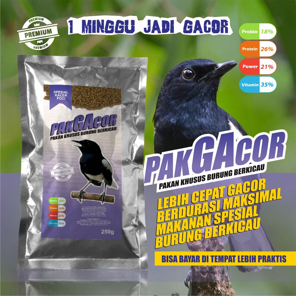 PAKAN GACOR SPESIAL KACER POCI VOER PENAMBAH GACOR