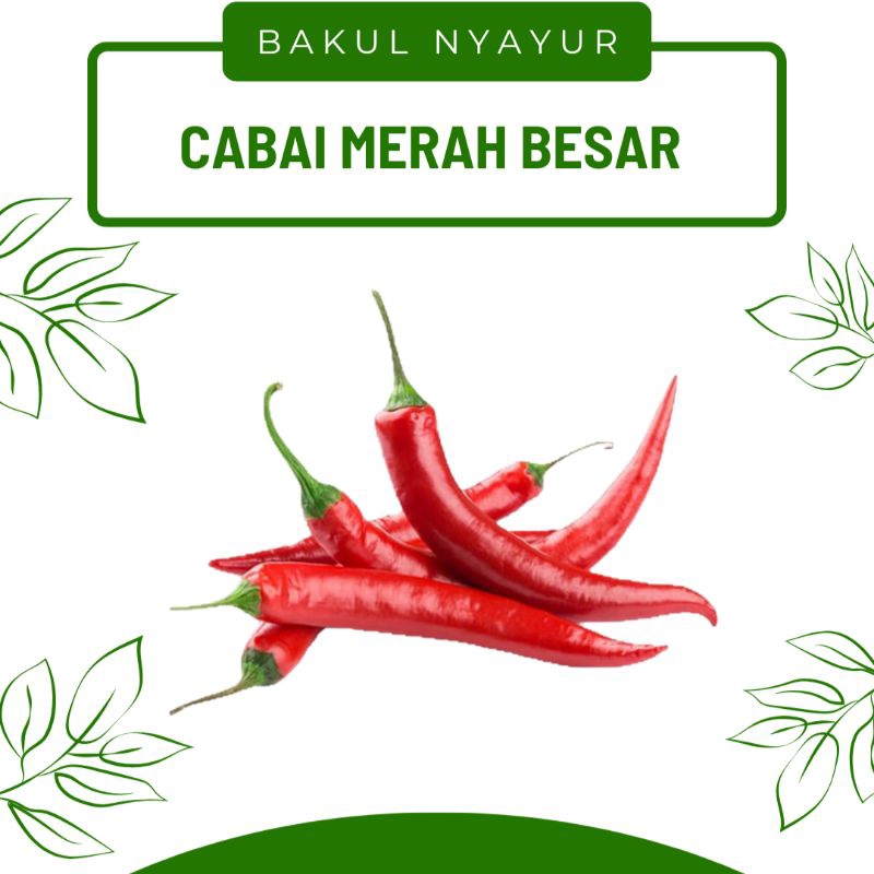 

Cabe / Cabai Merah Besar