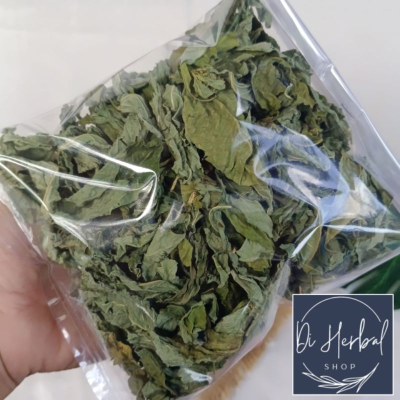 

Daun Patikanmas Kering Murni Daun Tanpa Batang Herbal Alami