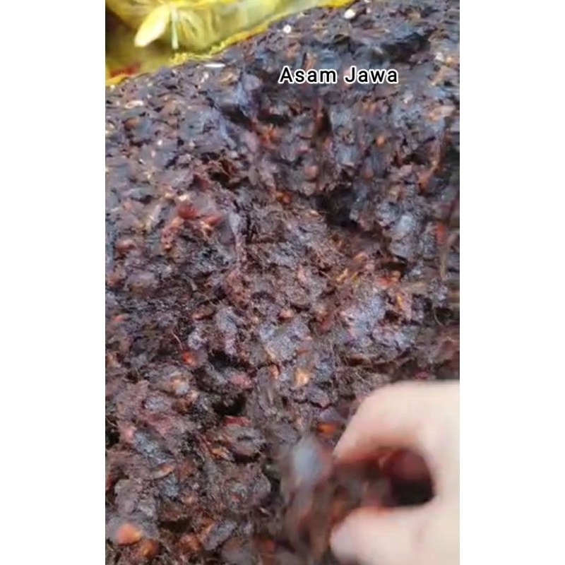 

Asam Jawa 100 gram