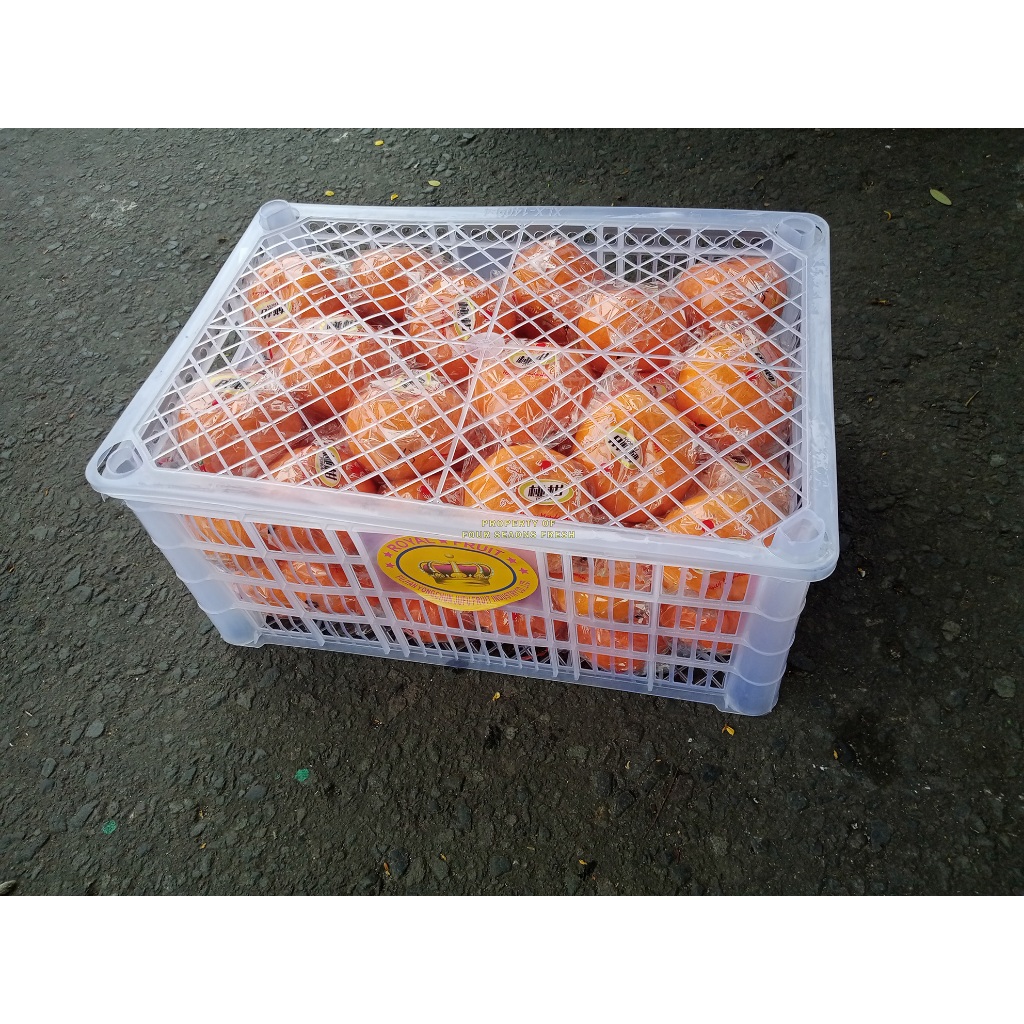 

TERLARISSS JERUK PONKAM 1 KERANJANG SUPER RASA MANIS ENAK