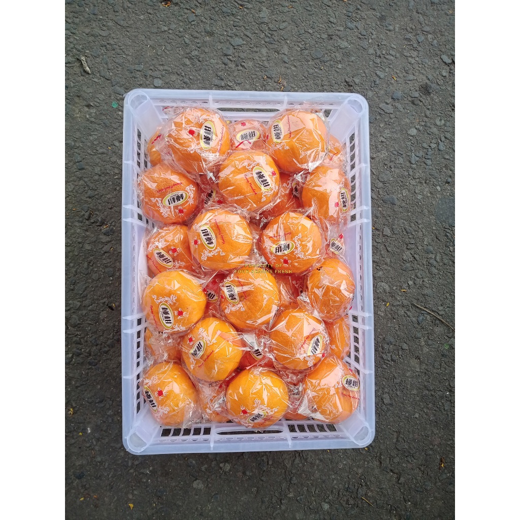 

TERLARISSS 1 BOX JERUK PONKAM KEMASAN KERANJANG BERAT 8 KGSUPER RASA ISTIMEWA