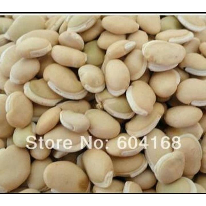 

10 G 50 GR 100 GRAM 白扁豆仁 BAI BIAN DOU REN SEMEN LABLAB ALBUM WHITE HYACINTH BEAN BEANS