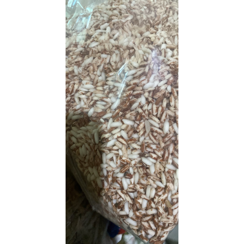 

pulut beras ketan mandoti