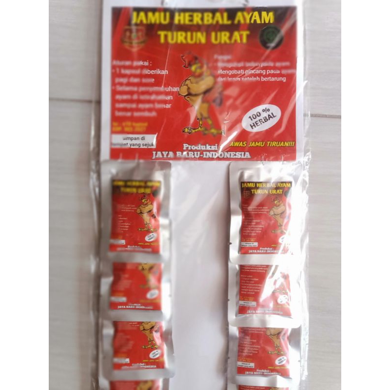 OBAT TURUN URAT AYAM /TEDUN PINCANG JAYABARU