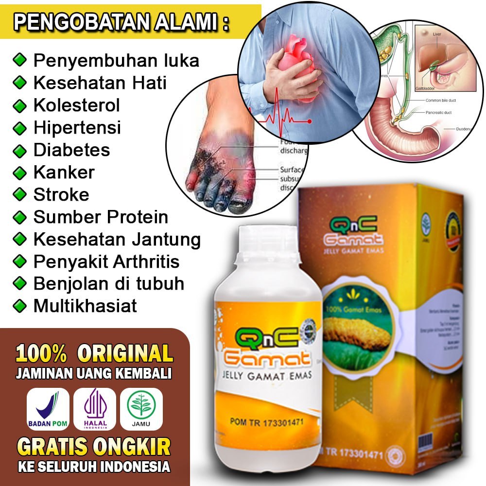 QnC Jelly Gamat Asli Original Herbal Multikhasiat Obat Diabetes Luka Sulit Sembuh Jantung Koroner Bo