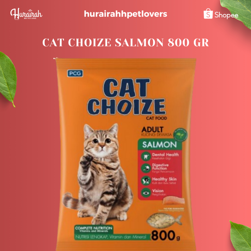 CAT CHOIZE SALMON 800 GR