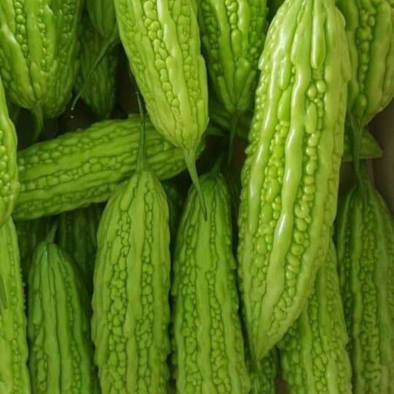 

Paria pare 500 gram