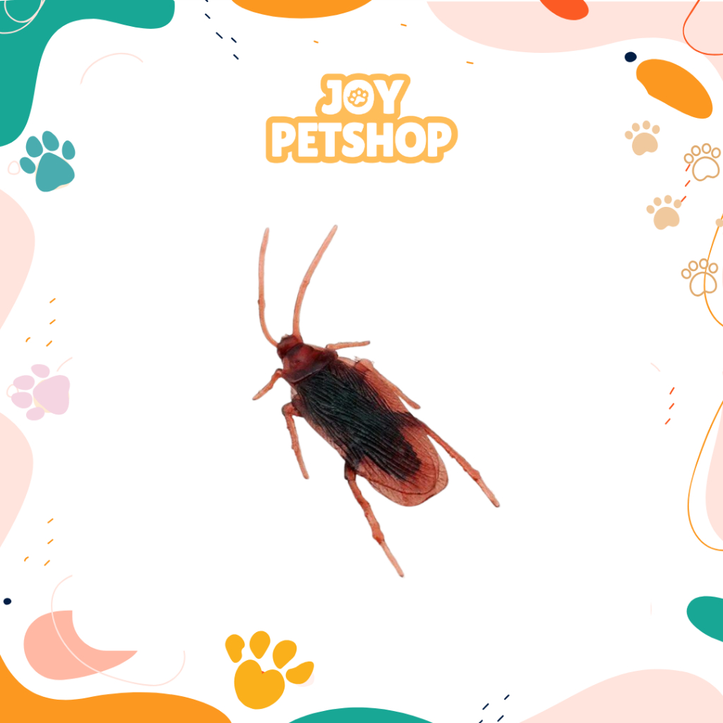 Mainan Kucing Kecoa Silicon