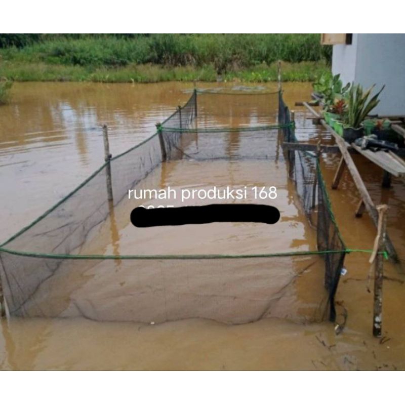 keramba hitam 3.5m x 5.5m x tinggi 1.5m waring ikan