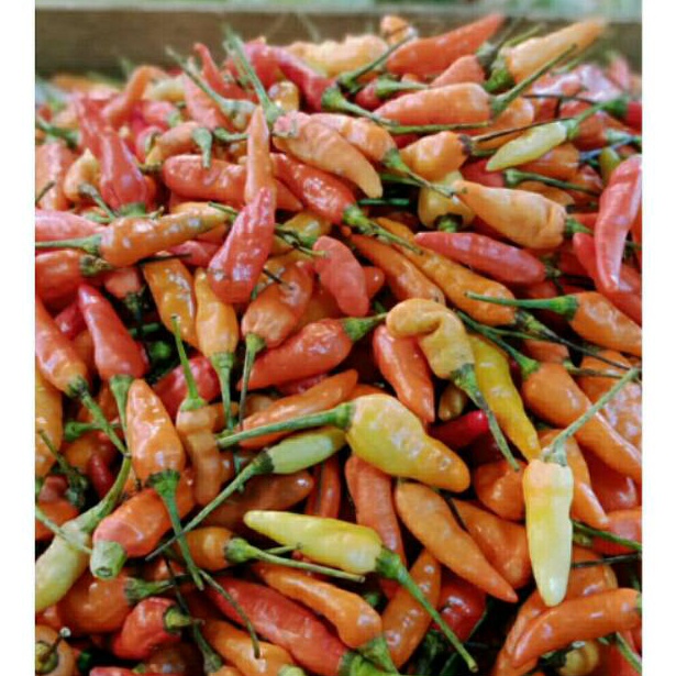 

FLASH SALE Cabe rawit merah 25gram