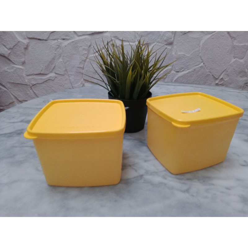 Medium Summer Tupperware