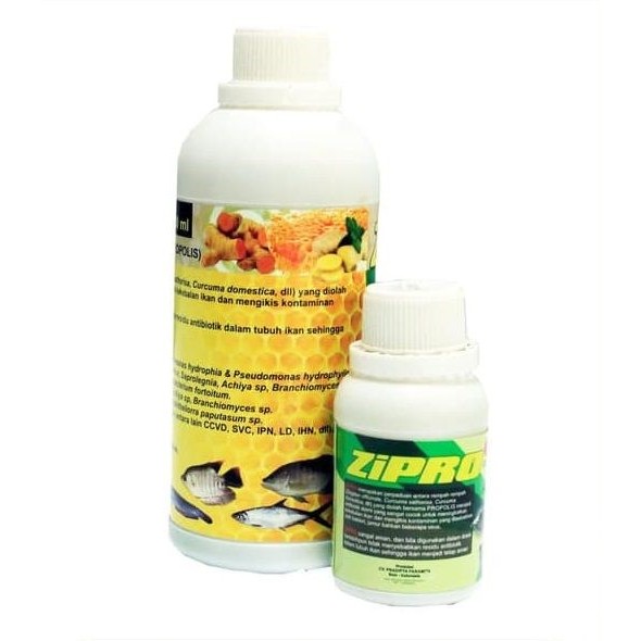 Obat Herbal untuk Ikan - ZiPro