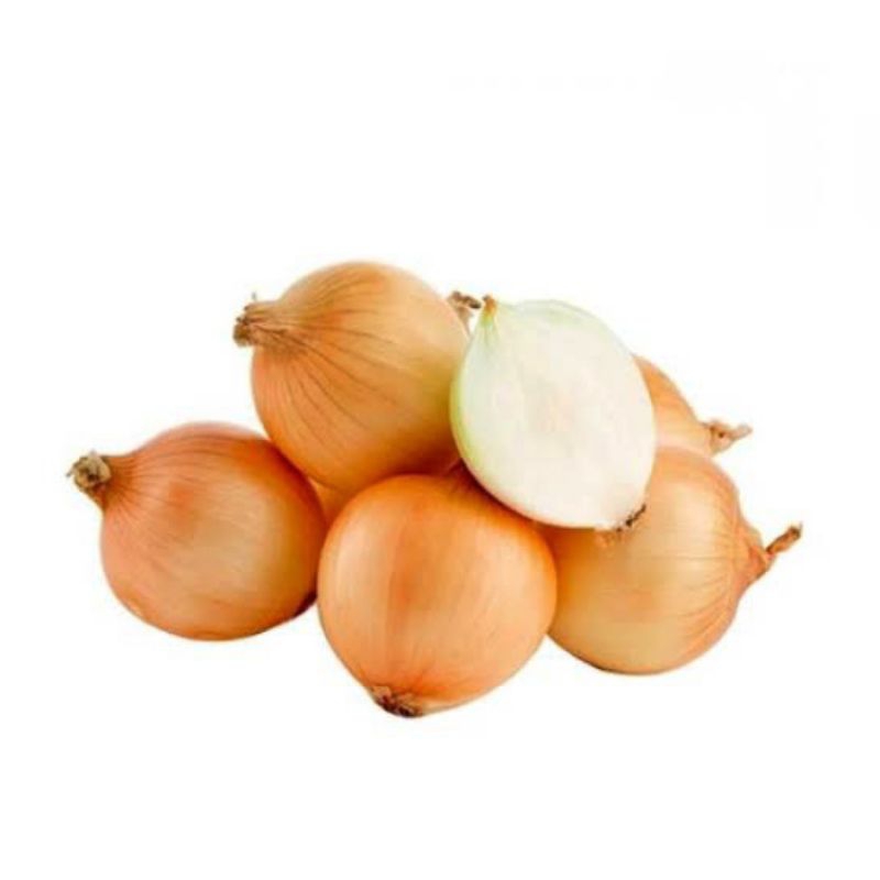 

Bawang Bombay 250 gram Lapak Pesanan