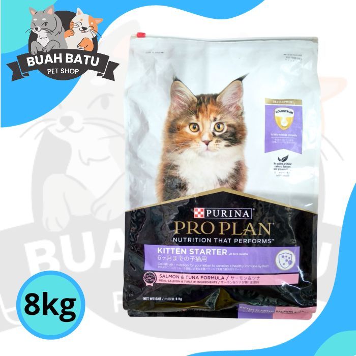 PROPLAN KITTEN STARTER 8 KG EKSPEDISI