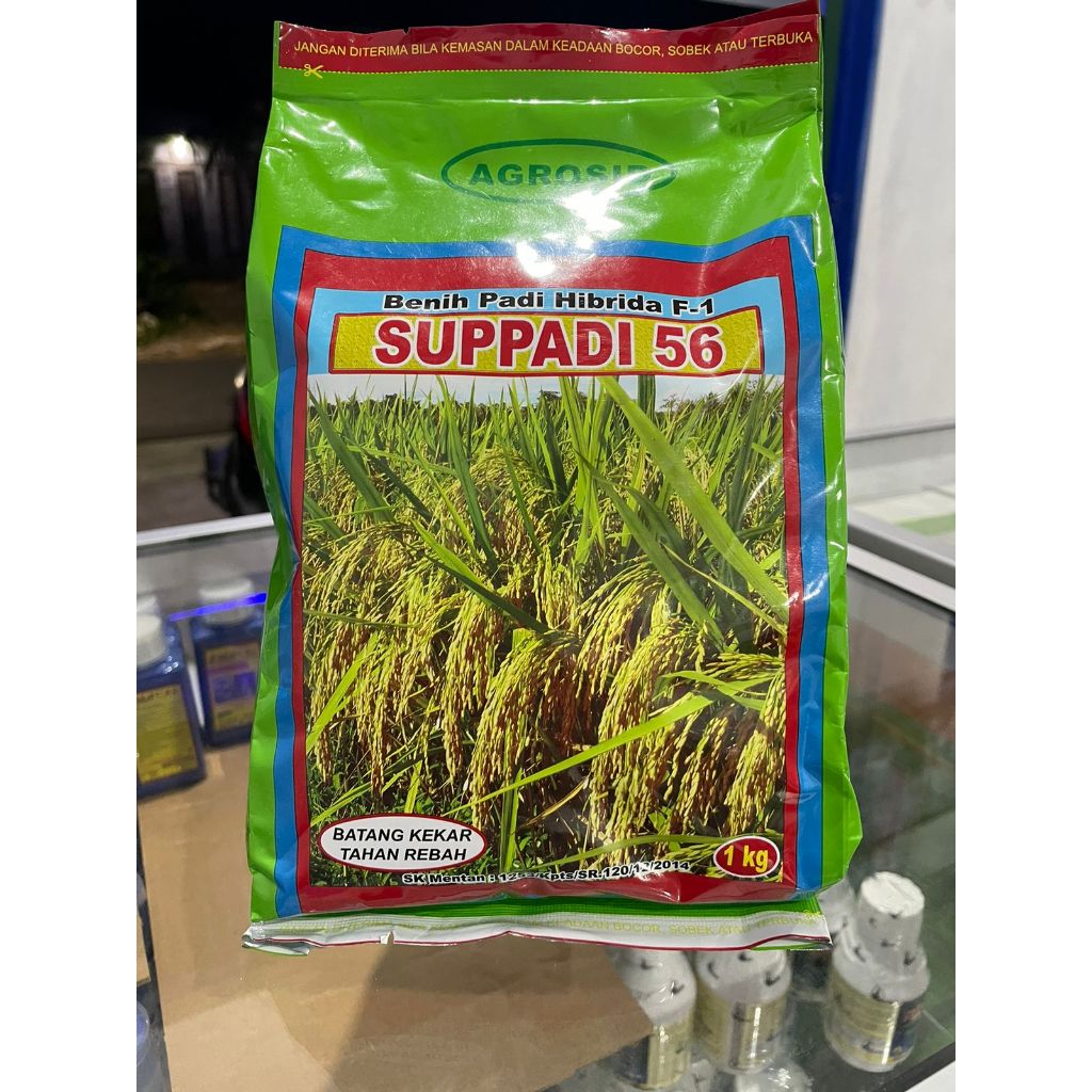 BENIH PADI HIBRIDA SUPPADI 56