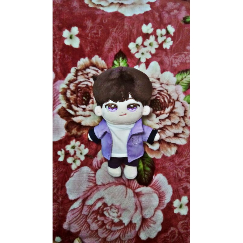 Holiwon Wonwoo Seventeen doll